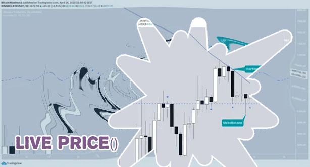 Bitcoin charts live