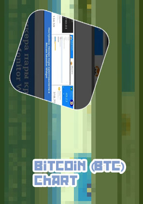 Bitcoin monitor
