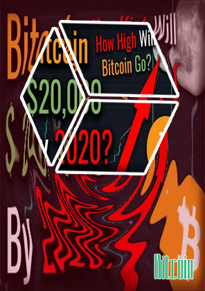 Bitcoin price in the beginning