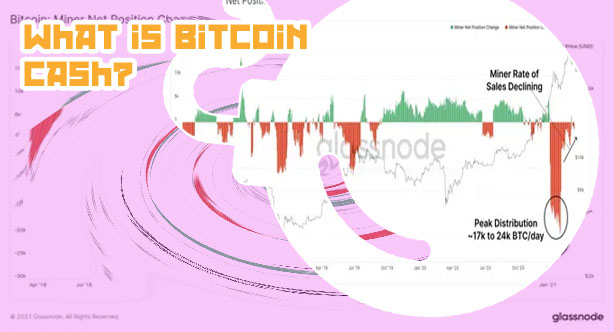 Jack build decentralized peertopeer bitcoin exchange