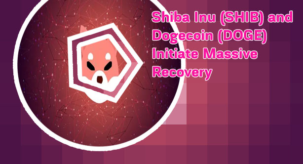 Shiba inu cryptocurrency news